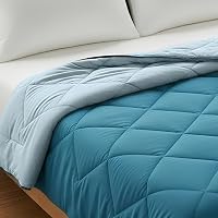 CareFoam Winter Special Comforter 300 GSM – Premium Microfiber Quilt for Heavy on Amazon