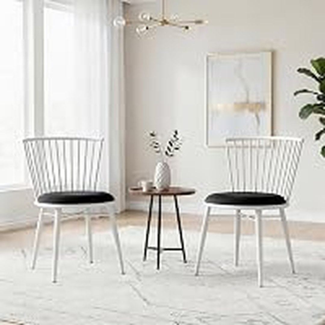 Amazon Brand- Solimo Iron Chair with Cushioned Seat, Set of 2